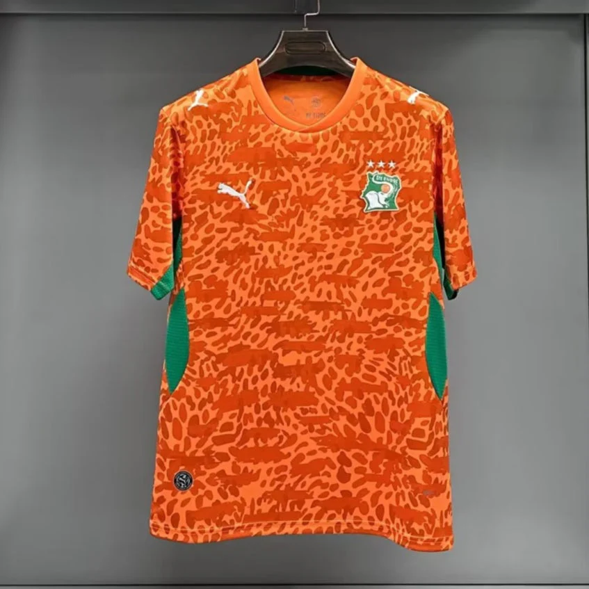 Maillot 25/26 Côte d'Ivoire Spécial - Image 3