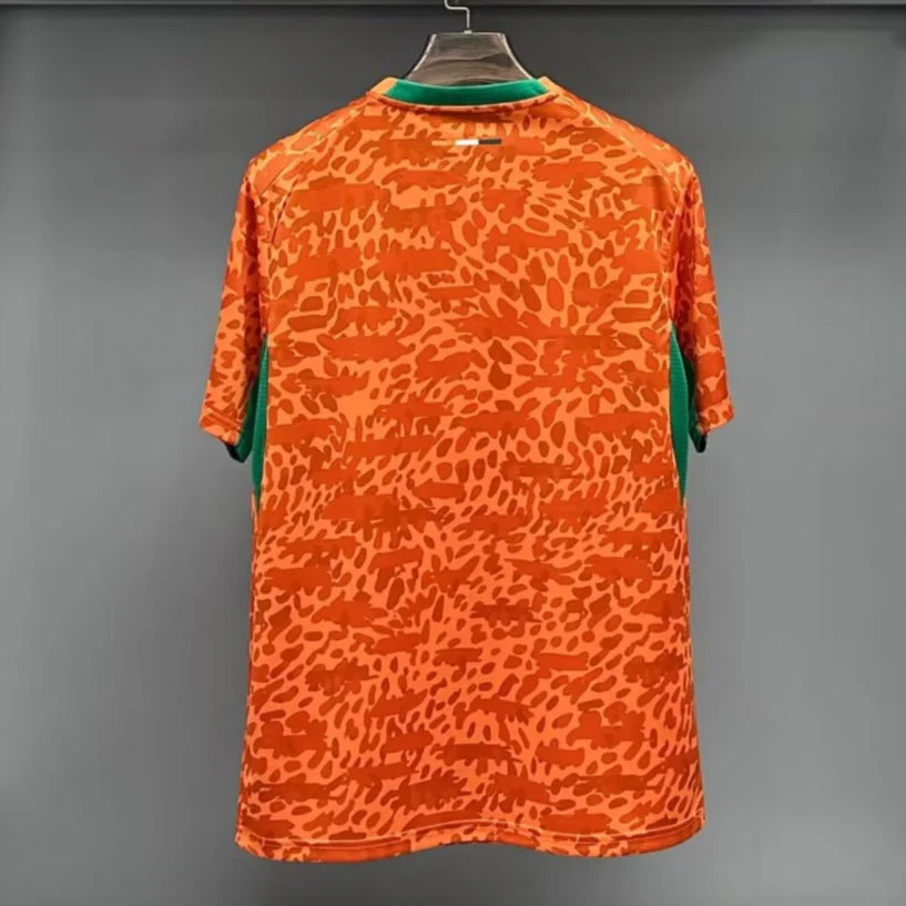 Maillot 25/26 Côte d'Ivoire Spécial - Image 4